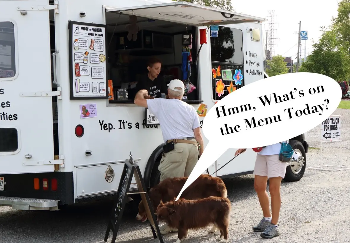 dogs looking at the menu at woof n waggin